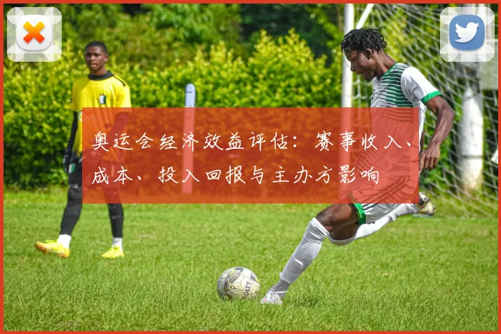 奥运会经济效益评估:赛事收入、成本、投入回报与主办方影响