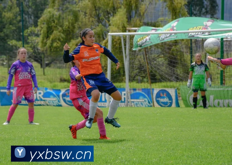 米兰体育网页官网平台生态图