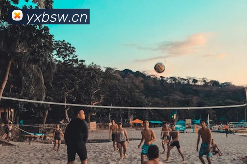 米兰体育网页官网APP 封面图